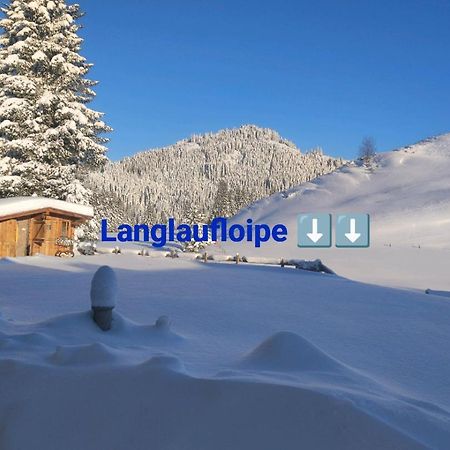Haus Jessica Incl National Park Sommercard Митерзил Екстериор снимка