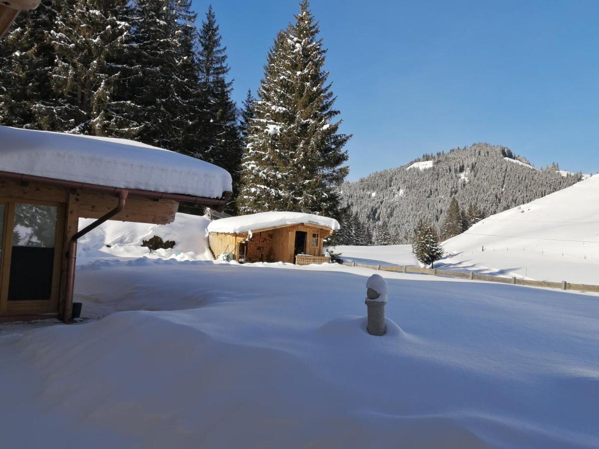 Haus Jessica Incl National Park Sommercard Митерзил Екстериор снимка