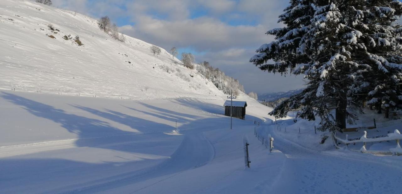 Haus Jessica Incl National Park Sommercard Митерзил Екстериор снимка