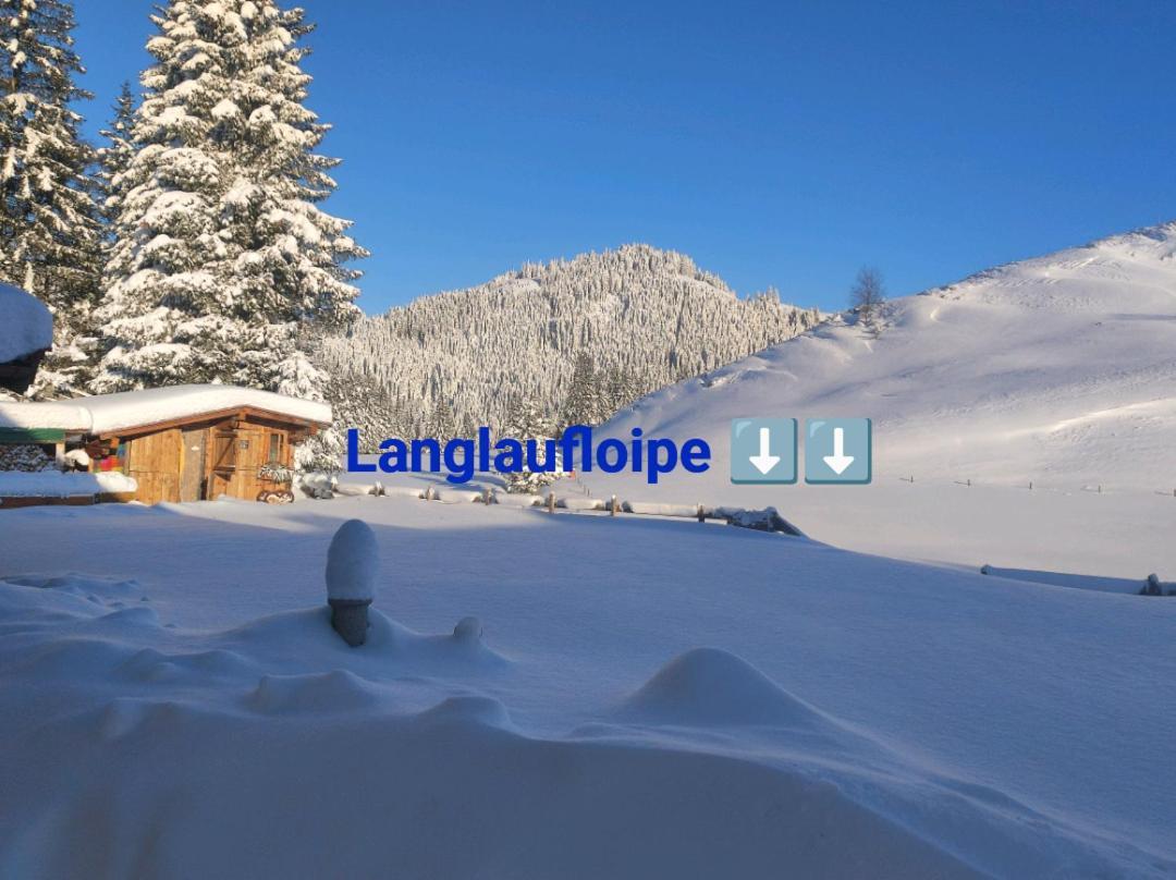 Haus Jessica Incl National Park Sommercard Митерзил Екстериор снимка